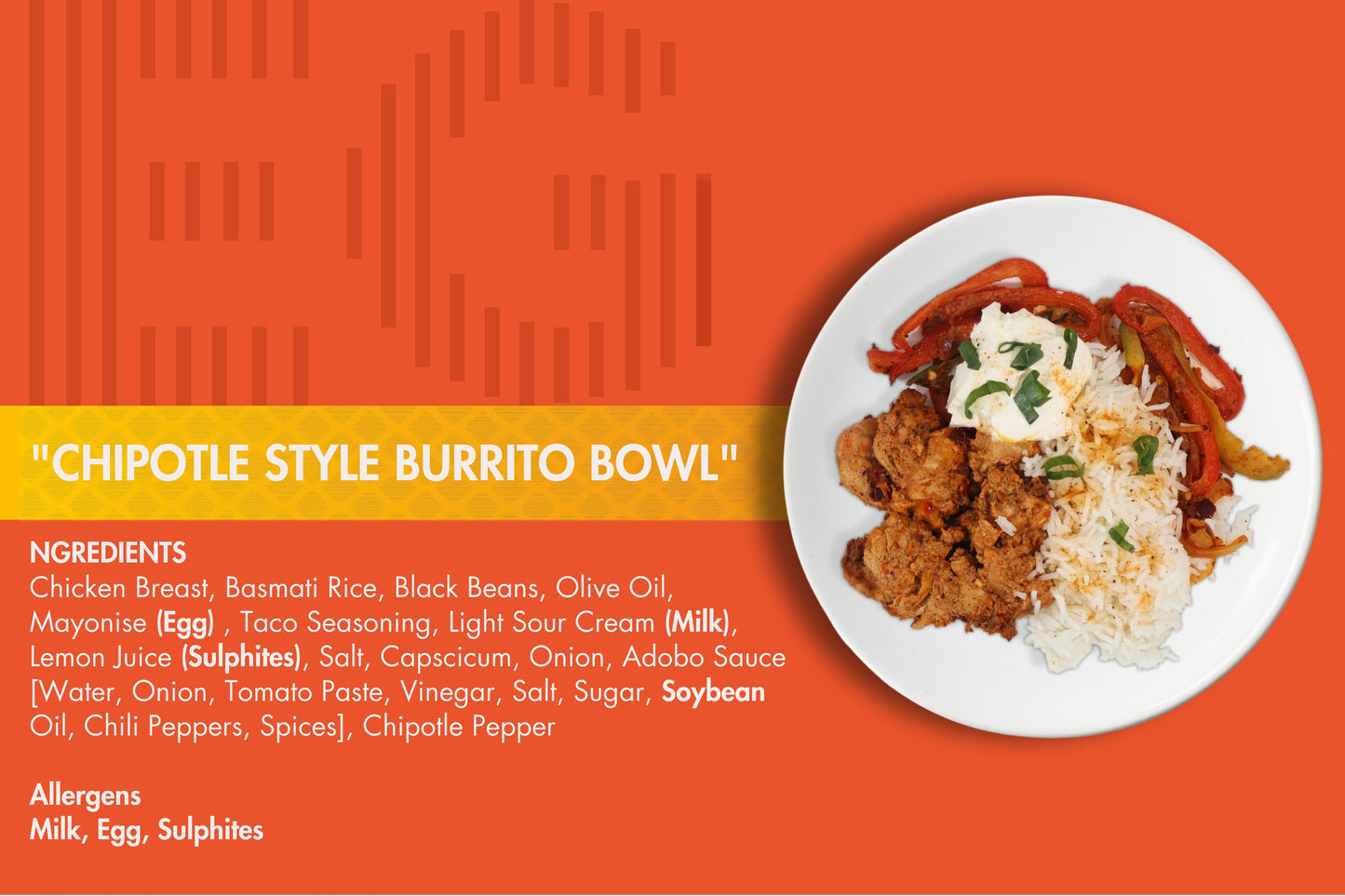 CHIPOTLE STYLE BURRITO BOWL (LOW CAL)